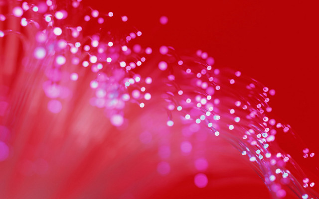 Pink flower petal dots red free wallpaper - medium preview image