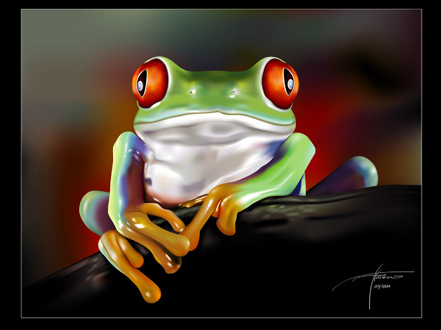 Frog red eyes branch black free wallpaper - medium preview image