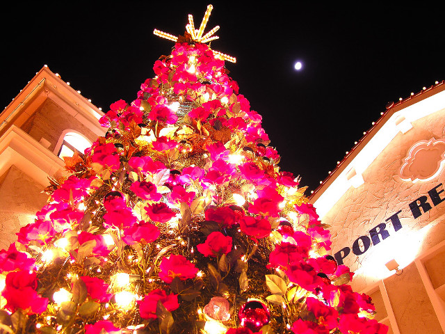 Christmas tree red flower building free wallpaper - medium preview image