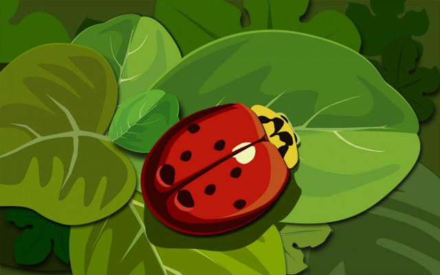 Ladybug green leaf ground plant free wallpaper - medium preview image