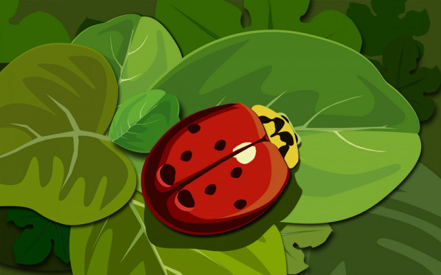 Ladybug green leaf ground plant #2 free wallpaper - medium preview image