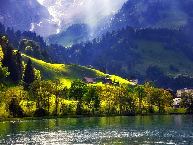 Lake mountains forest trees houses free wallpaper - medium preview image