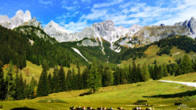 Horse riding group mountain field free wallpaper - medium preview image