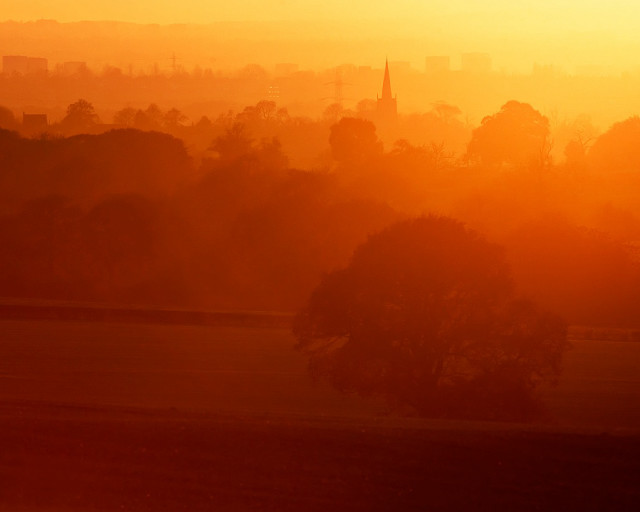 City sunset horse grazing distant free wallpaper - medium preview image