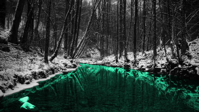 Stream forest snow trees nature free wallpaper - medium preview image