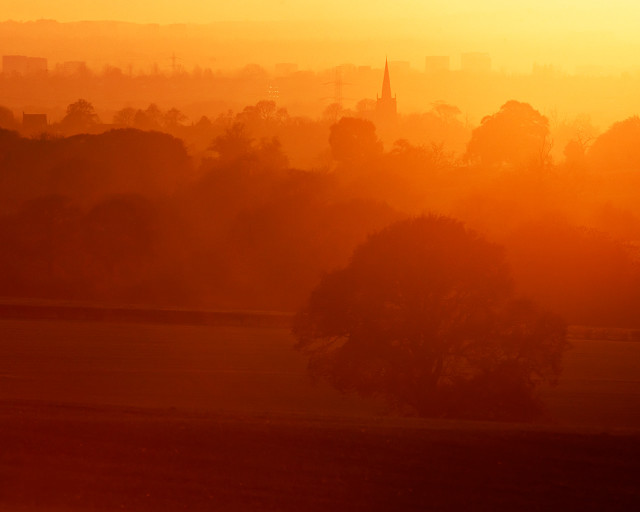 City sunset horse grazing foreground #2 free wallpaper - medium preview image