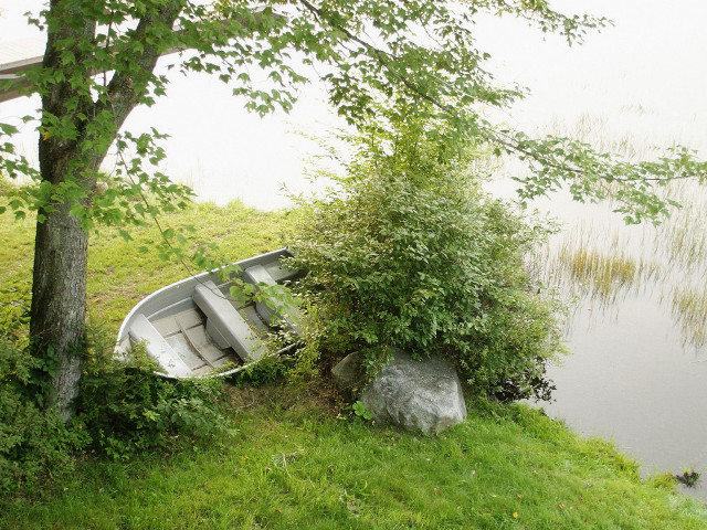 Boat grass tree water ecological free wallpaper - medium preview image