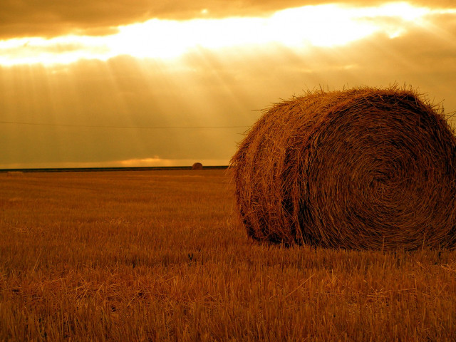 Hay bale sunshine clouds field free wallpaper - medium preview image