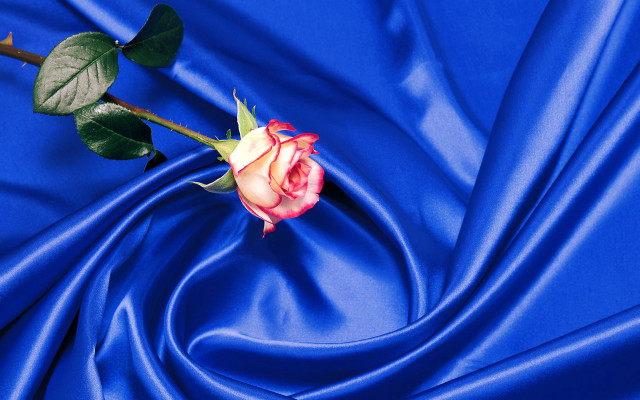Blue rose vaporwave satin sky free wallpaper - medium preview image