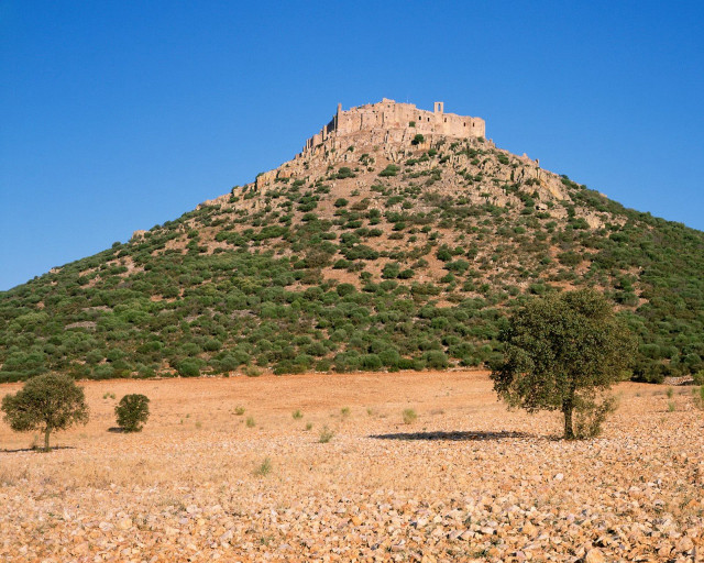 Large hill tree building romanesque free wallpaper - medium preview image