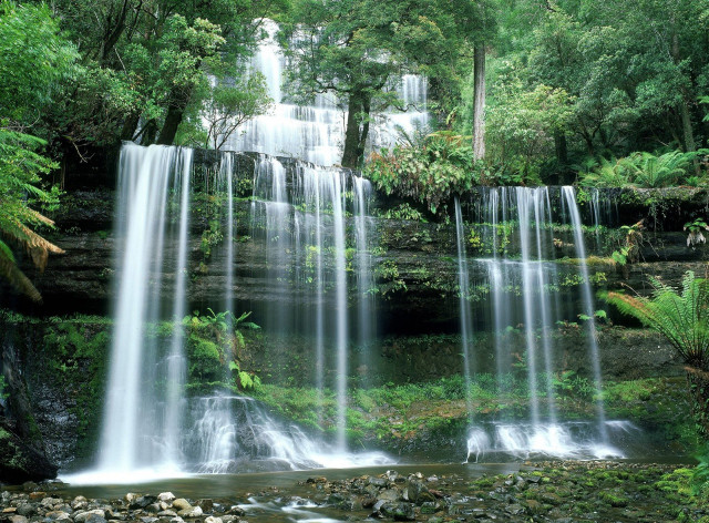 Waterfall forest cascading water trees free wallpaper - medium preview image