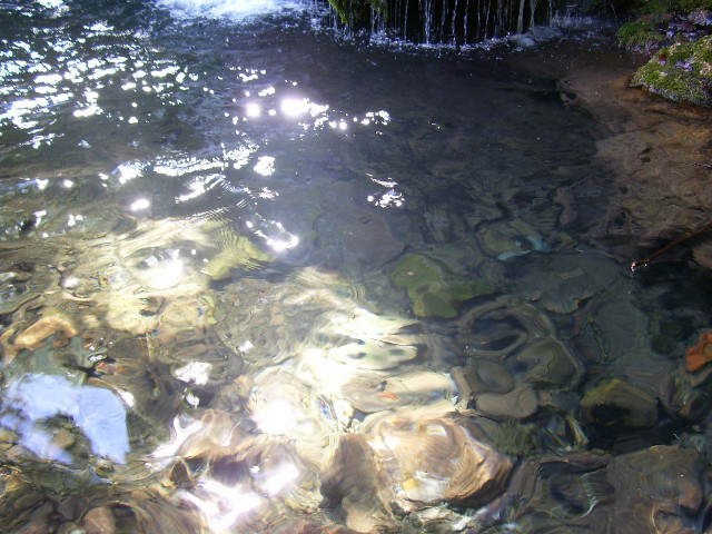 Stream water rocks plants sunlight free wallpaper - medium preview image