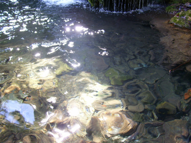 Stream rocks plants sun reflection free wallpaper - medium preview image