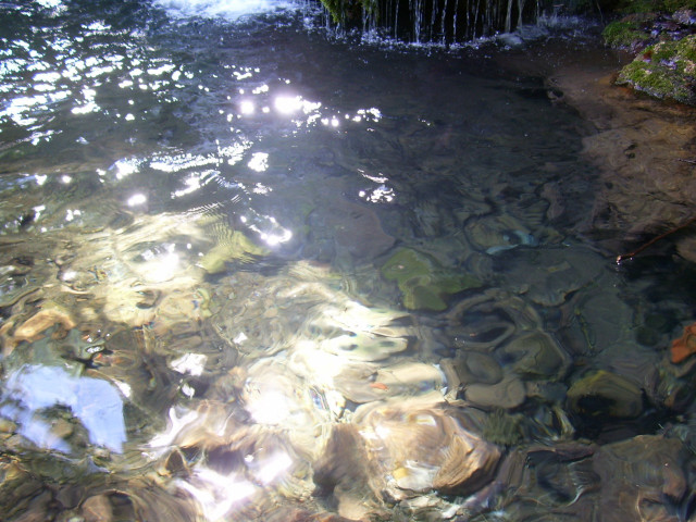 Stream water rocks plants sunlight #3 free wallpaper - medium preview image