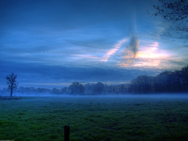 Field tree sky clouds fog free wallpaper - medium preview image