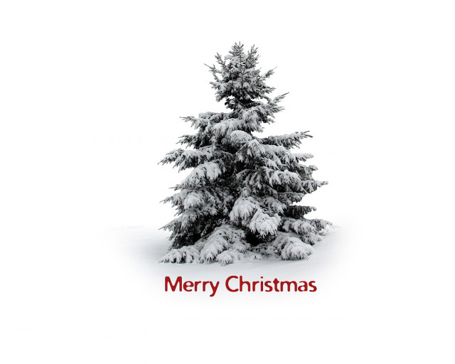 Christmas tree red ribbon merry #2 free wallpaper - medium preview image
