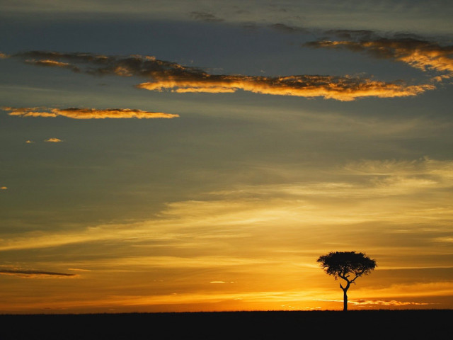 Lone tree field sunset clouds #3 free wallpaper - medium preview image
