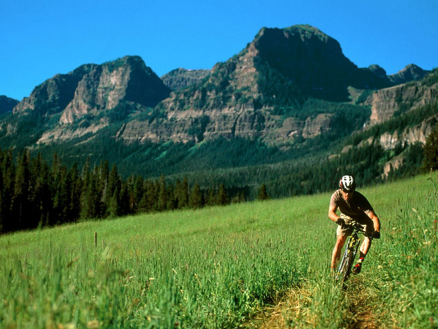 Man riding bike hillside lush free wallpaper - medium preview image