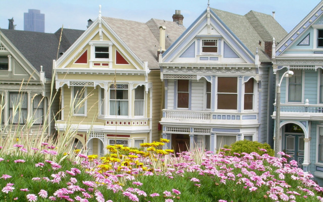 Houses grass flowers sky background free wallpaper - medium preview image