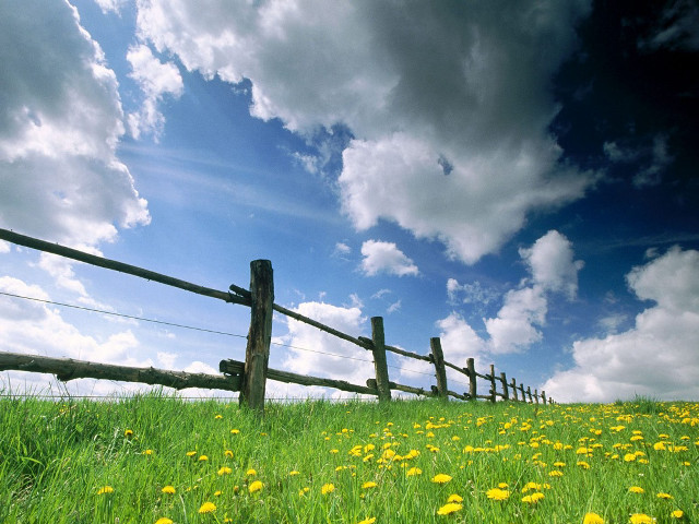 Field fence flowers grass cloudy #2 free wallpaper - medium preview image