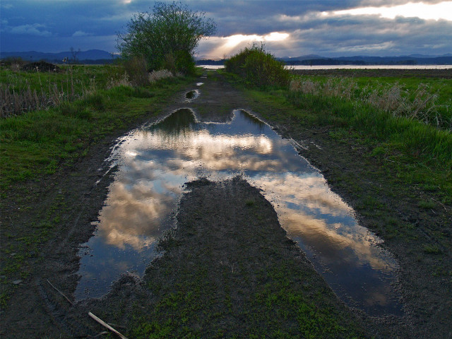Road puddles cloudy sky background #2 free wallpaper - medium preview image