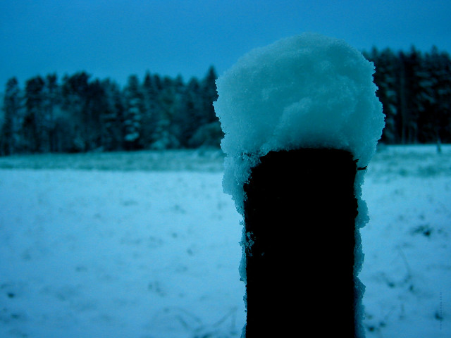 Snow covered field forest blue #4 free wallpaper - medium preview image