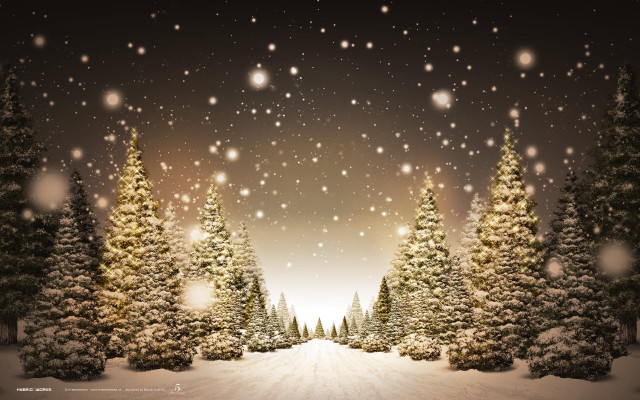 Snowy scene trees snowflakes ground free wallpaper - medium preview image