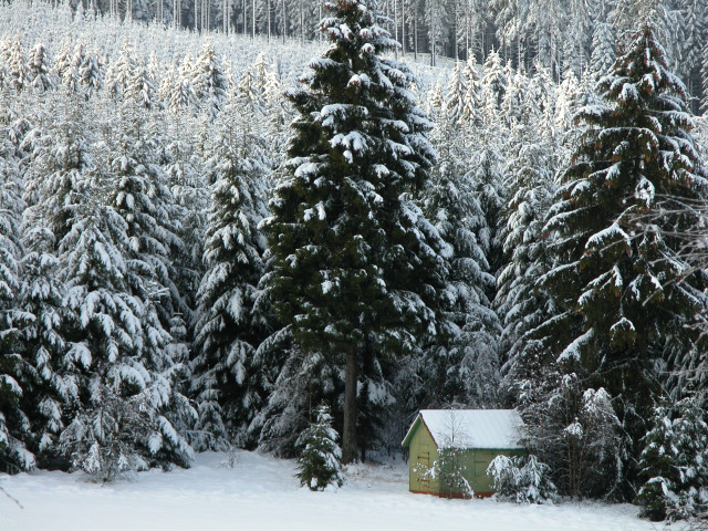 Snowy cabin forest ecological art free wallpaper - medium preview image