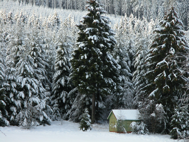 Small cabin snowy forest matte free wallpaper - medium preview image