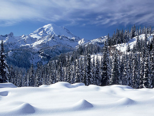 Snow covered mountain trees sky #2 free wallpaper - medium preview image