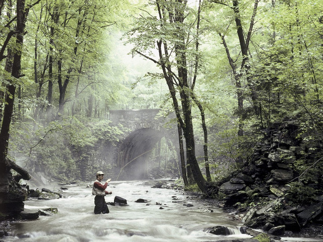 Man river fishing holding fish free wallpaper - medium preview image
