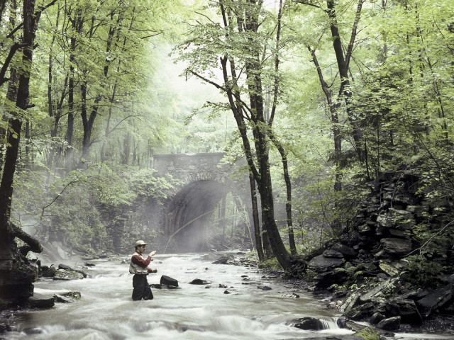 Man river fishing holding fish #2 free wallpaper - medium preview image