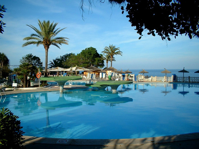 Ocean pool palmtrees beach sky free wallpaper - medium preview image