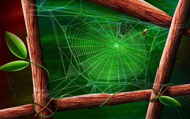 Spiderweb wooden fence green leafy free wallpaper - medium preview image