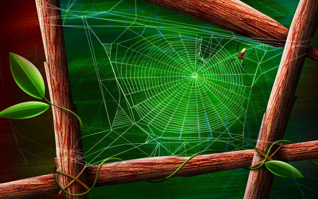 Spider web wooden fence green #2 free wallpaper - medium preview image