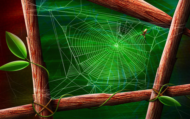 Spider web wooden fence green #3 free wallpaper - medium preview image