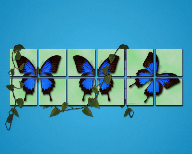 Blue butterfly green wall leaves free wallpaper - medium preview image