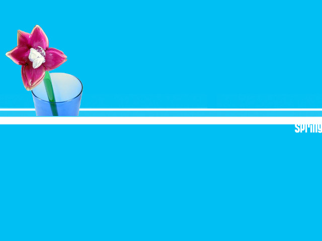Flower vase blue background white free wallpaper - medium preview image