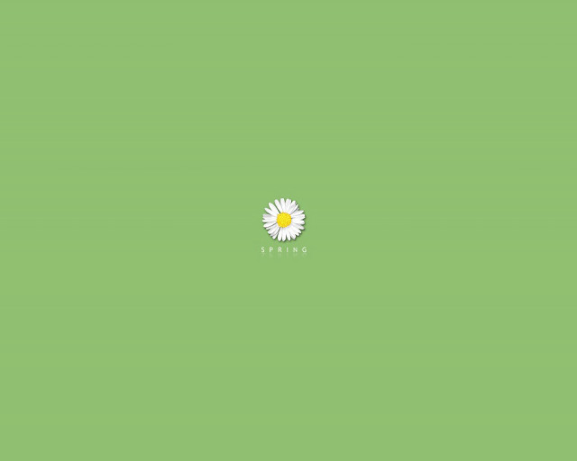 Single flower green background white free wallpaper - medium preview image