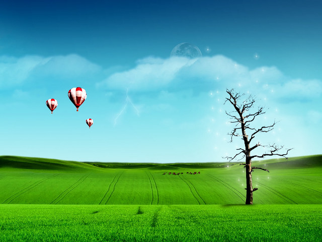 Lone tree hot air balloons free wallpaper - medium preview image