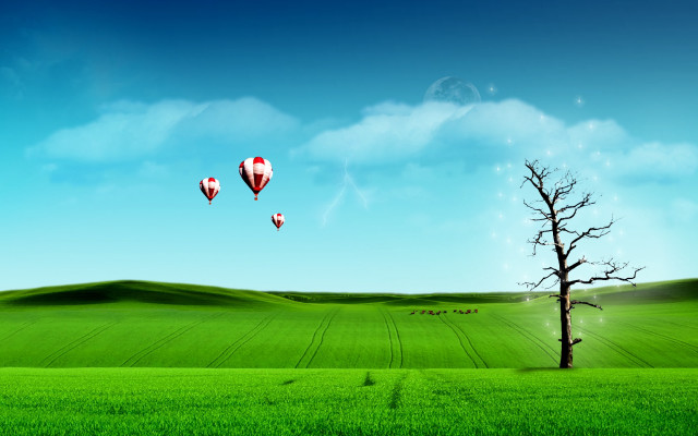 Tree field hot air balloons #5 free wallpaper - medium preview image