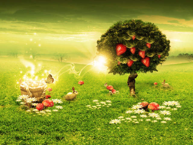 Tree basket strawberries field chickens #3 free wallpaper - medium preview image