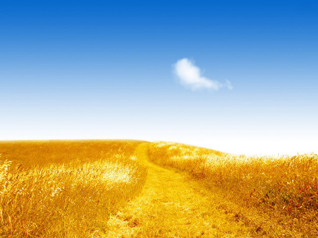 Path field tallgrass cloud blue free wallpaper - medium preview image
