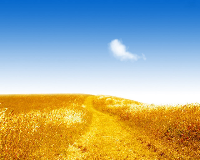 Path tall grass cloud blue free wallpaper - medium preview image
