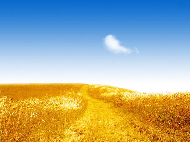 Path tall grass cloud blue #2 free wallpaper - medium preview image