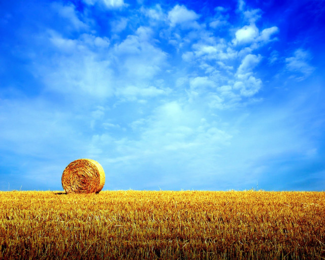 Hay bale field blue sky #4 free wallpaper - medium preview image