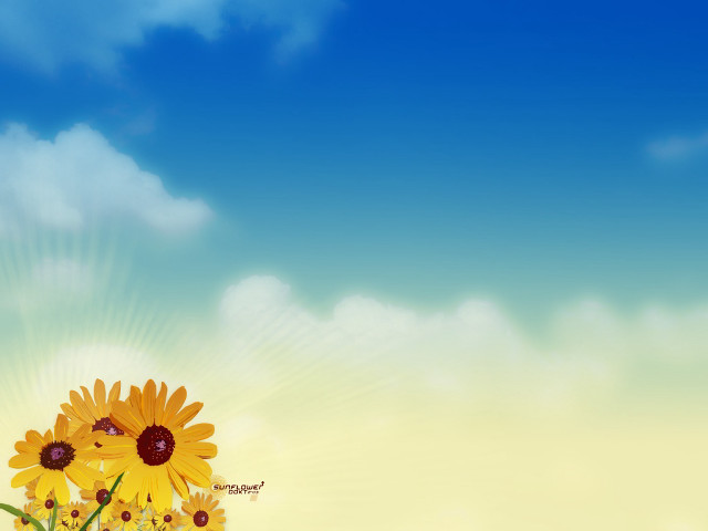 Sunflower field sky clouds sunbeam #2 free wallpaper - medium preview image