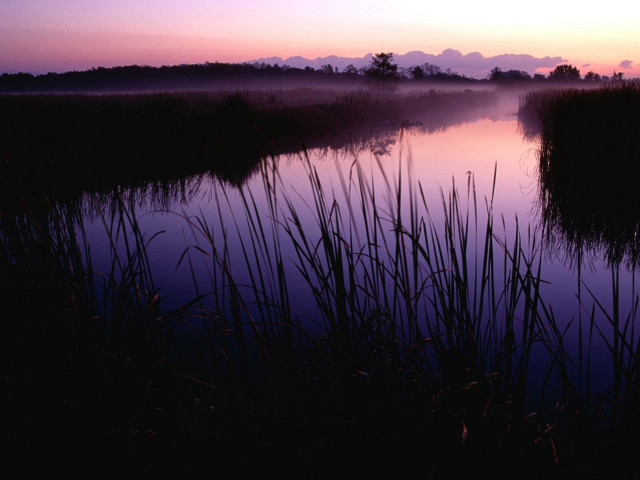 Lake reeds sunset clouds water free wallpaper - medium preview image