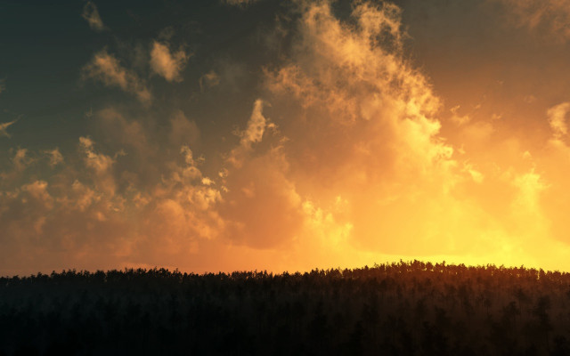 Plane forest cloudy sky sunset free wallpaper - medium preview image