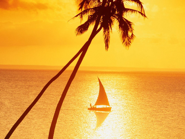 Sailboat ocean sunset palm tree #2 free wallpaper - medium preview image